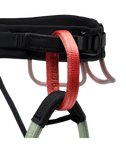 Black Diamond Solution Harness - Women's