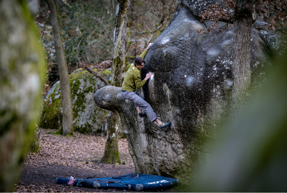 Person climbing a rock face in a forest setting
